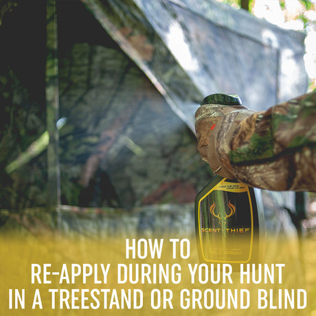 Re-Applying Scent Thief During a Hunt