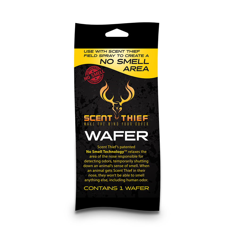 Scent Thief Web Exclusive