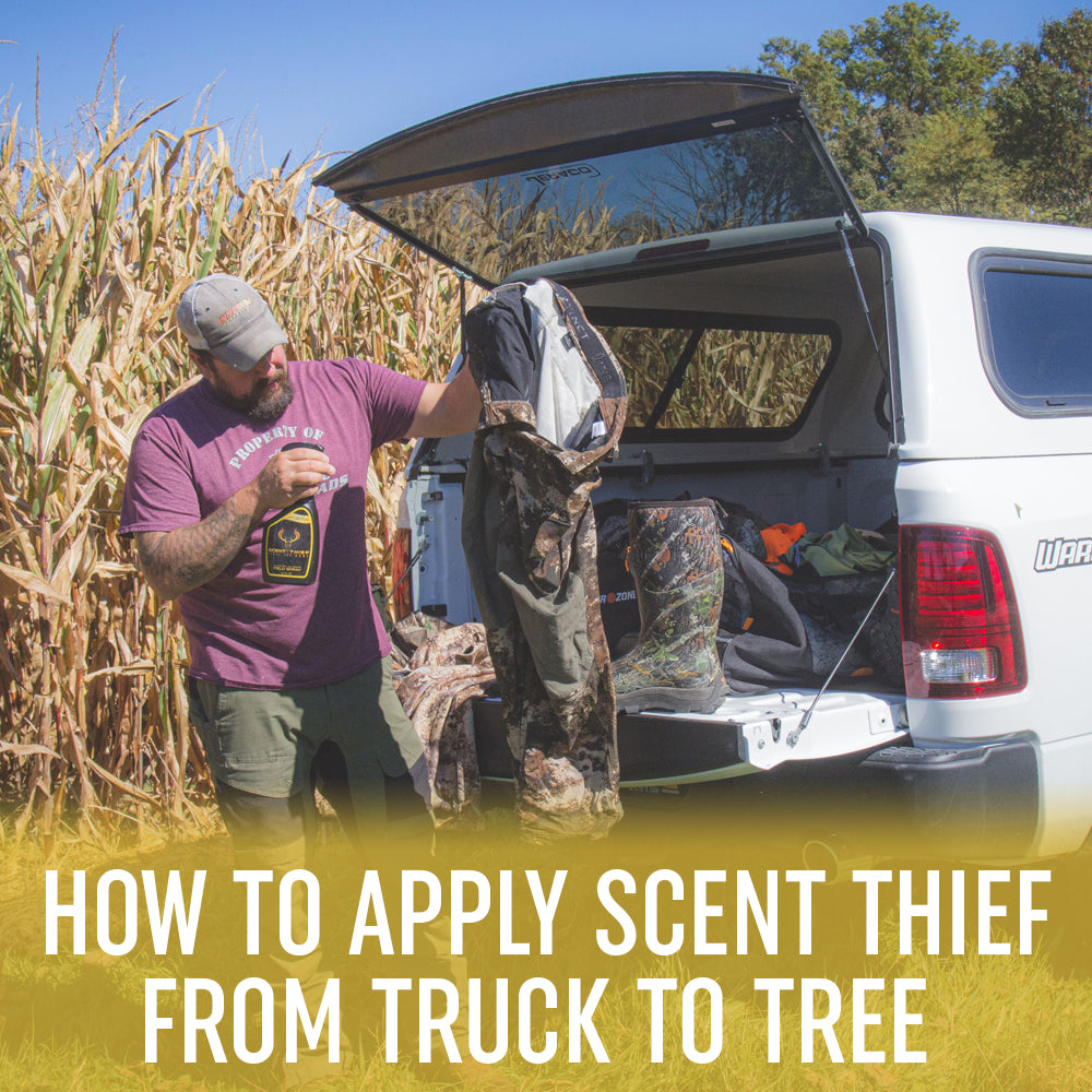 
          
            How To Apply Scent Thief From Truck To Tree
          
        